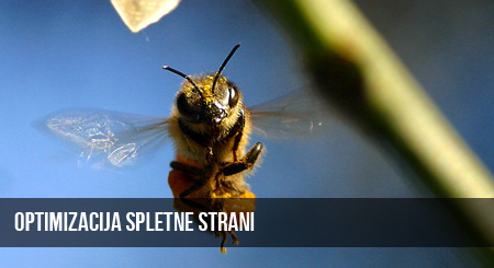 optimizacija spletne strani